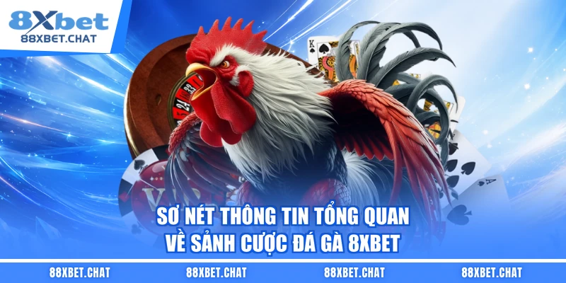 Sơ nét thông tin tổng quan về sảnh cược đá gà 8XBET