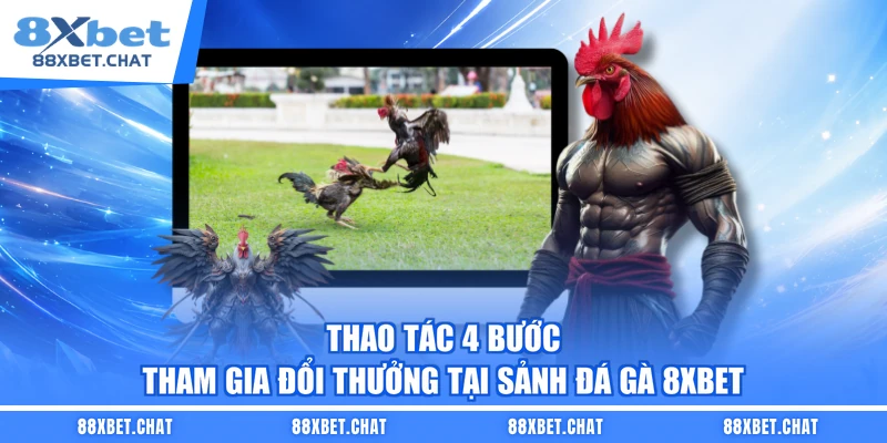 Thao tác 4 bước tham gia đổi thưởng tại sảnh đá gà 8XBET